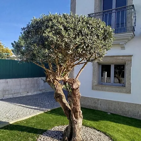 펜션 Casa Dos Filhos 세심브라