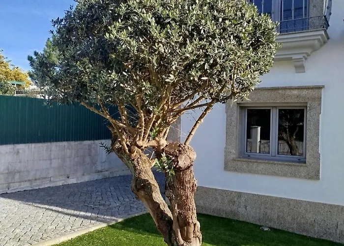 펜션 Casa Dos Filhos 세심브라